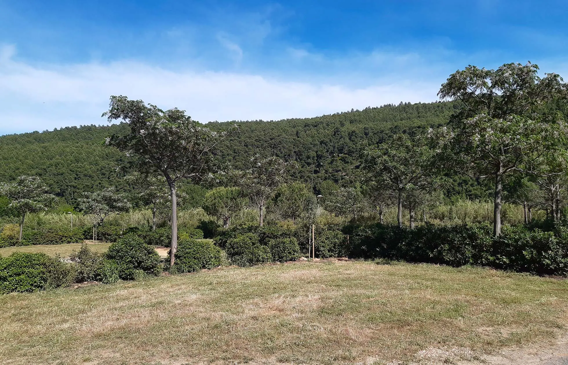 15 - Camping de l'Olivigne - Hébergement