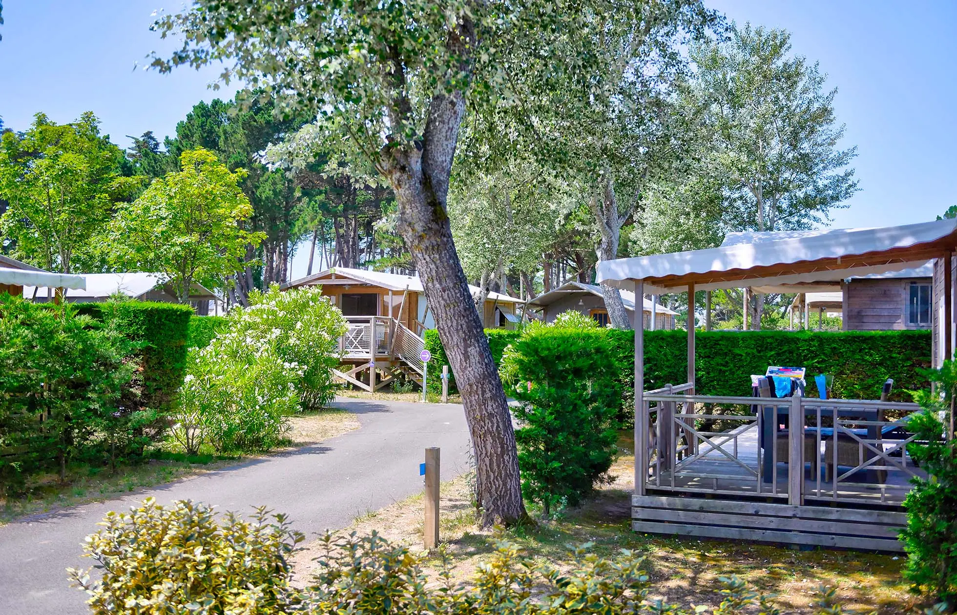 25 - Camping Le Bois d'Amour - Hébergement