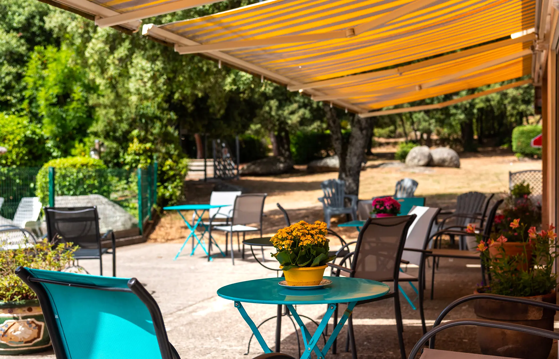 31 - Camping Le Martinet Rouge - Service
