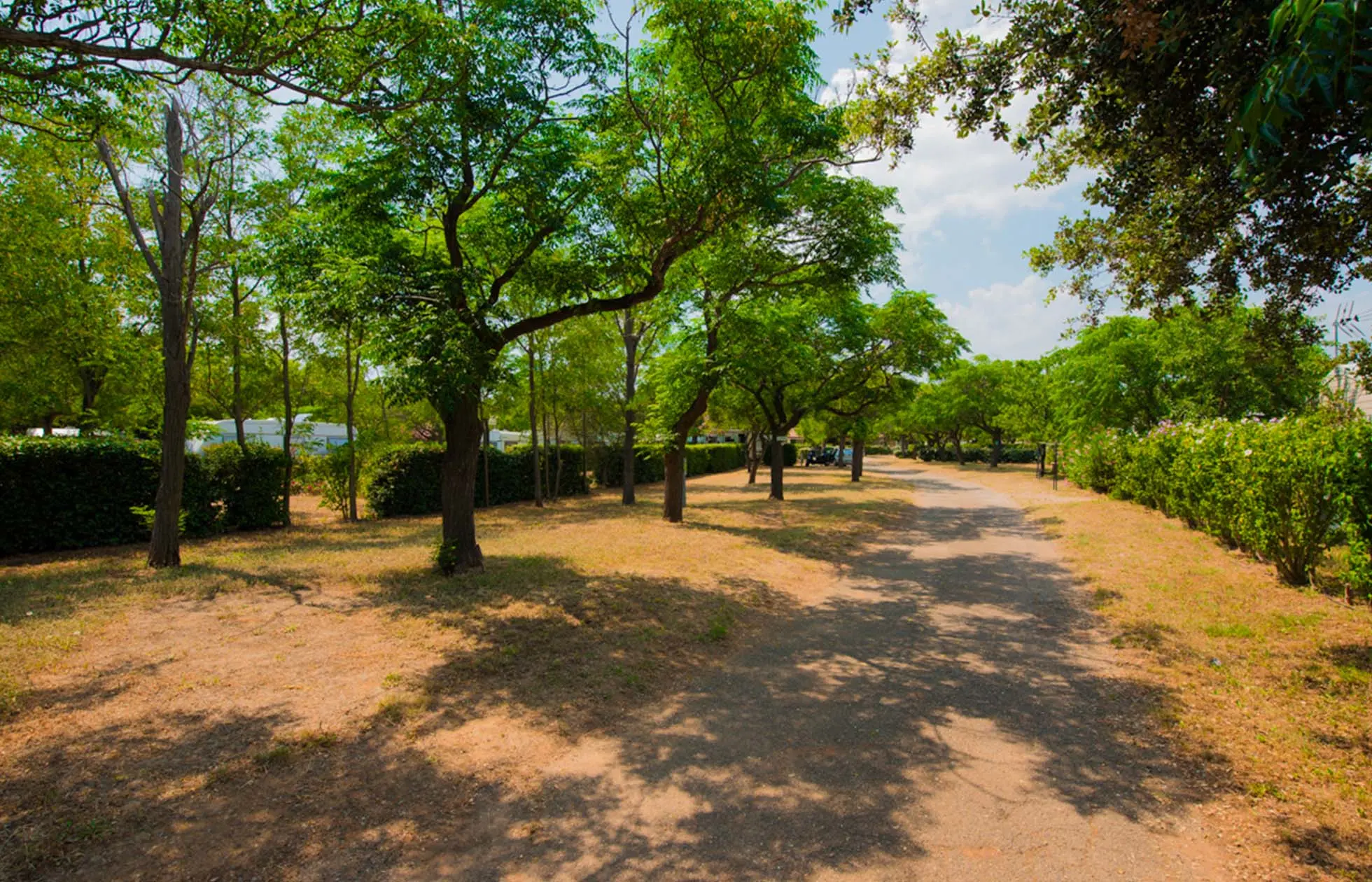 34 - Camping Altéa - Hébergement