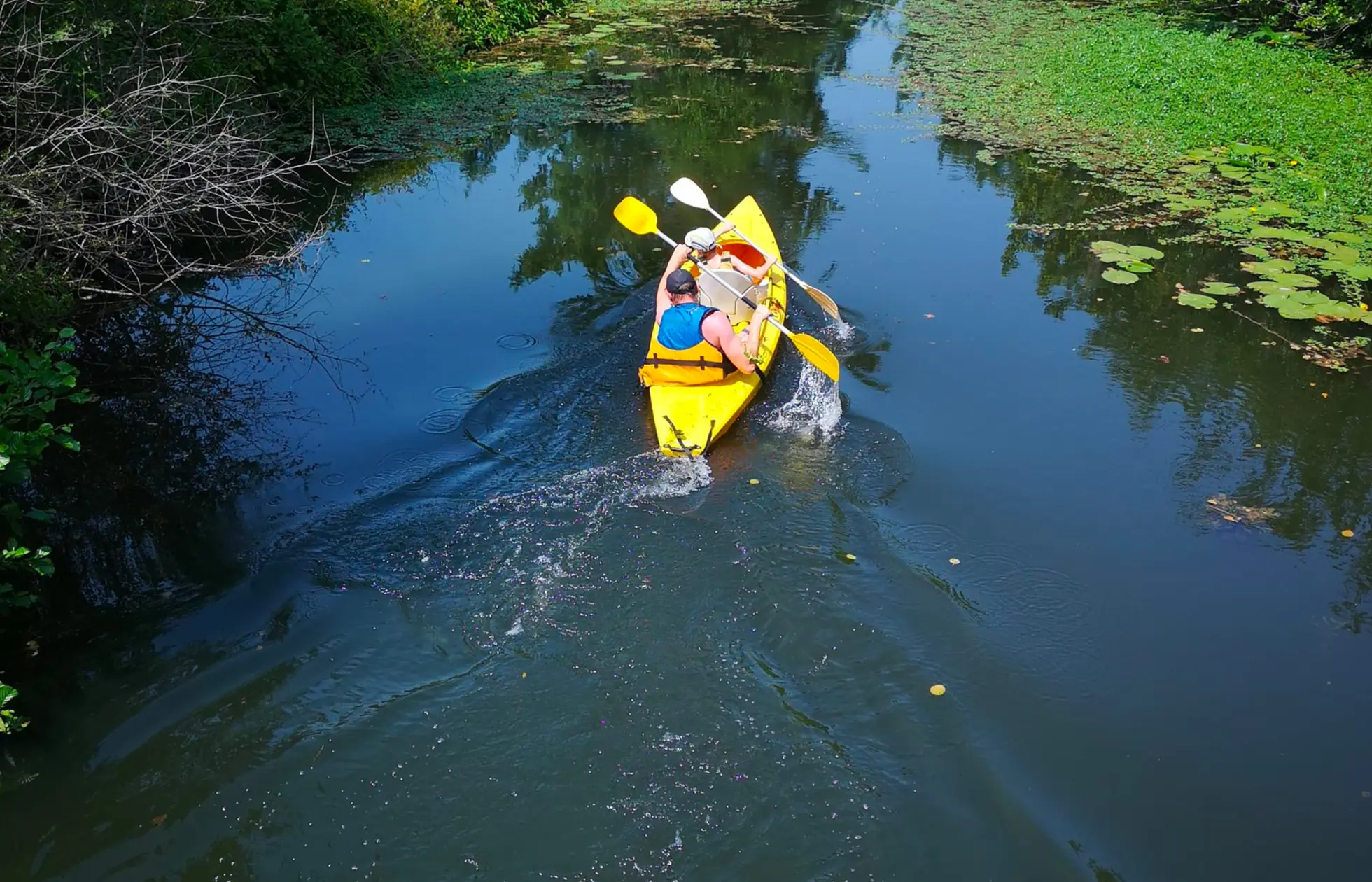 13 - Camping Les Berges de la Dordogne - Activité