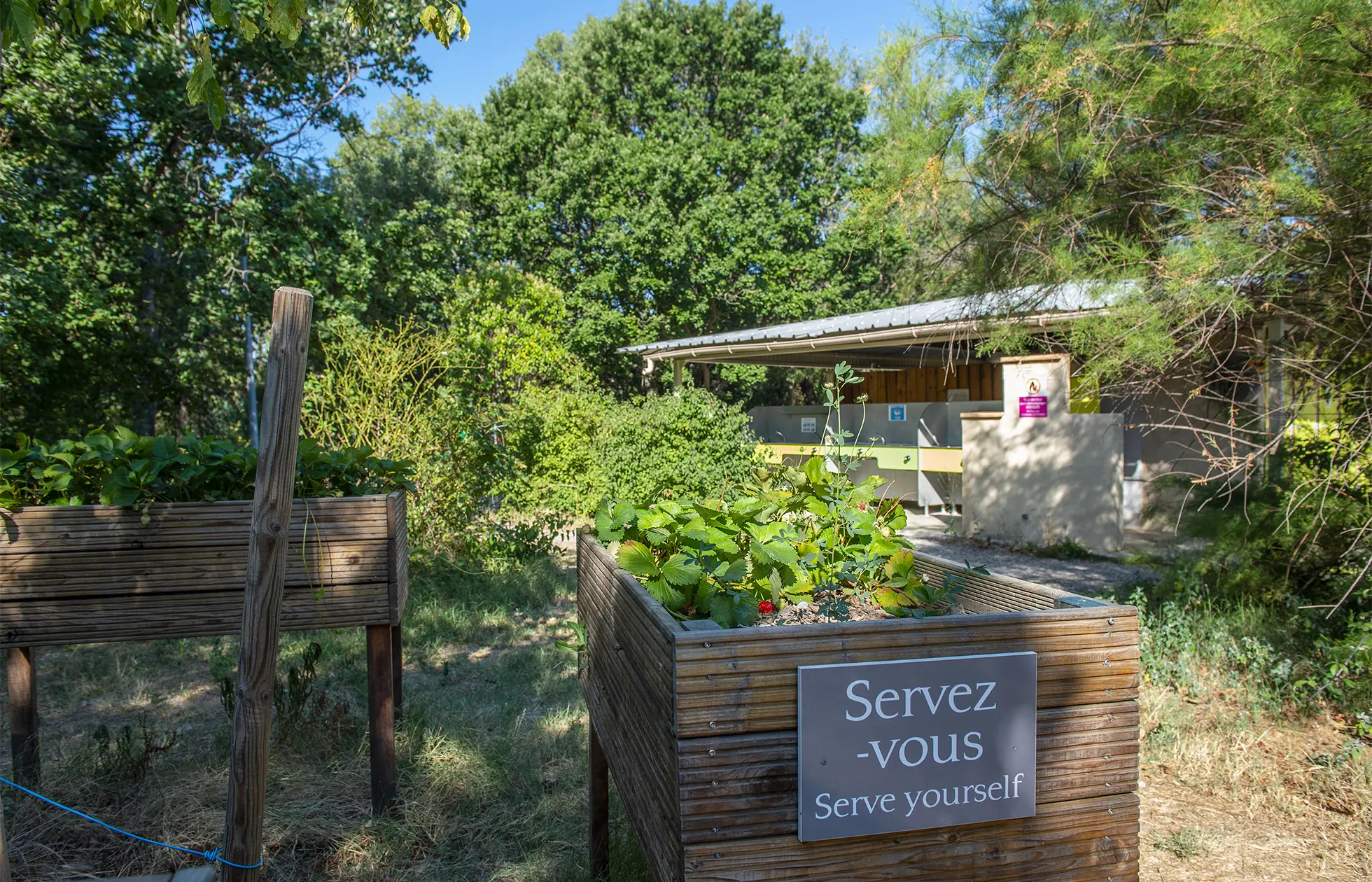Camping Les Rives de l'Aygues - Service 8
