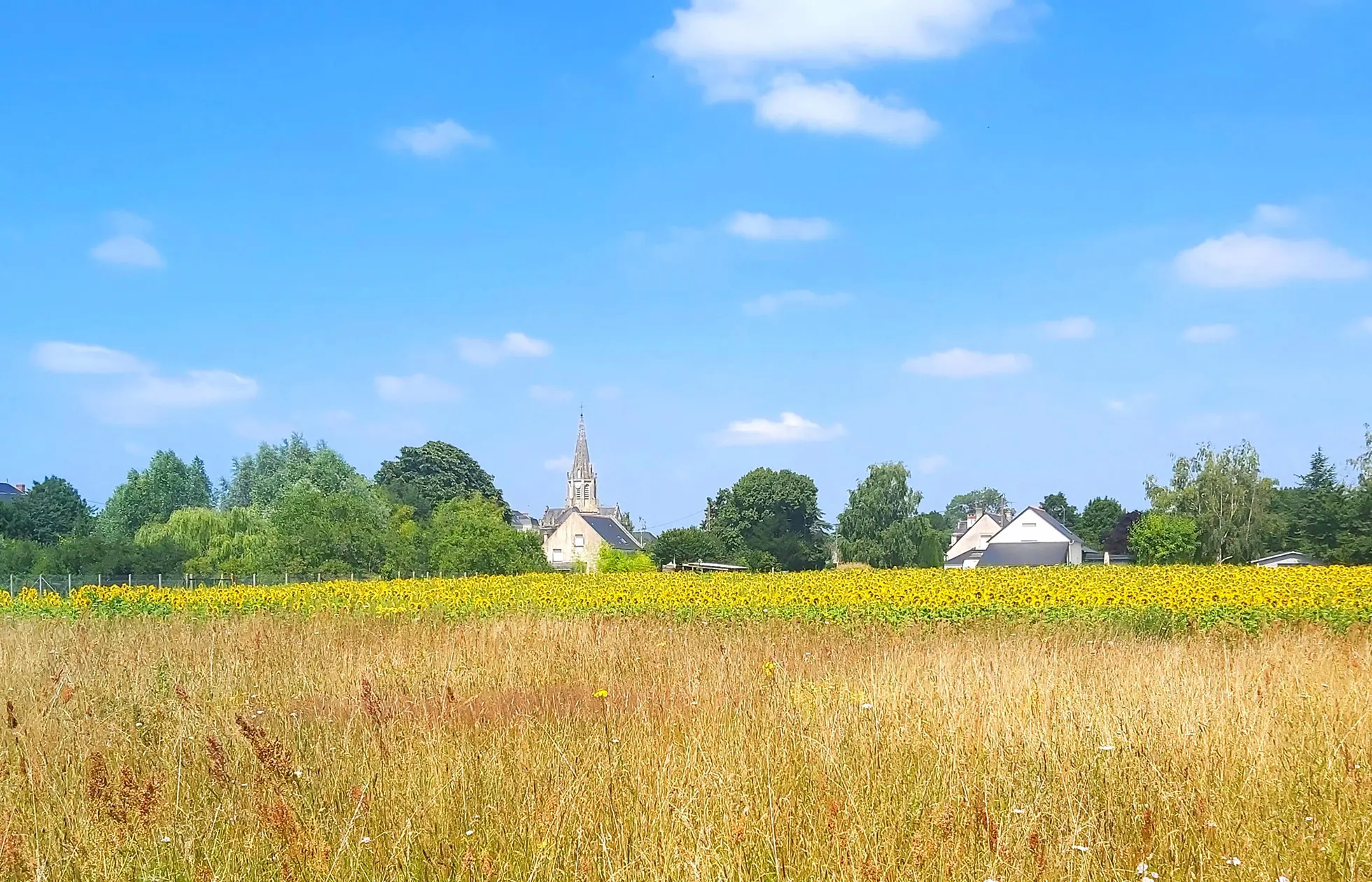 Camping Loire et Châteaux - Alentour 1